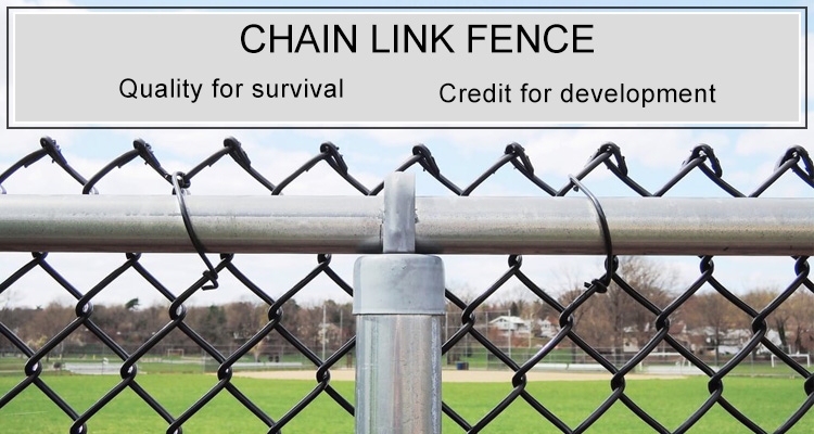 galvanized chain link fence for garden fence mould