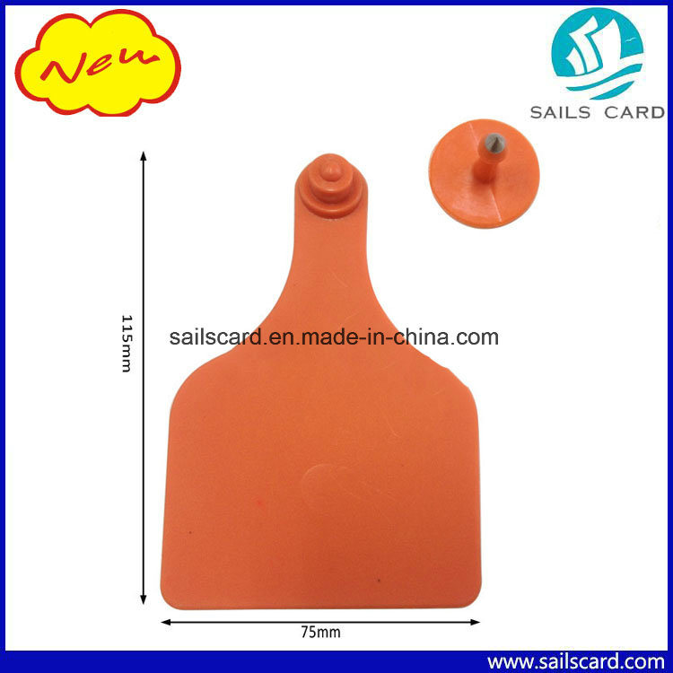 115*75mm Ox Mature Cattle Ear Tags