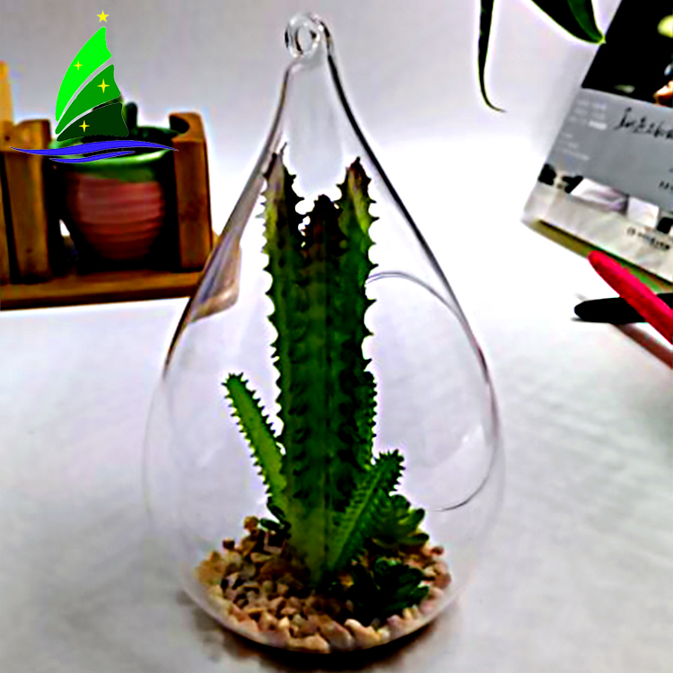 Terrario colgante Hanging Terrarium