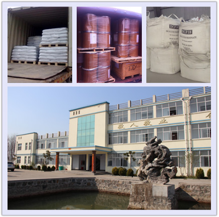 Choline Chloride 70% Corn COB Poultry Feed Additives