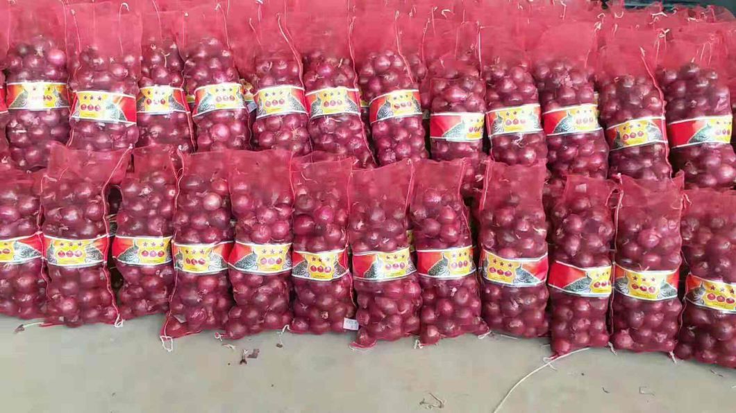 Super frische rote Zwiebel