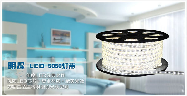 220V/110V LED Strip Light LED