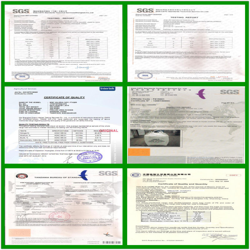 Ammonium Sulphate (N 21%) (caprolactam grade) (accept SGS or BV inspection)