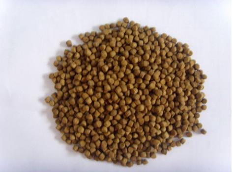Fish Feed with Competitive Price