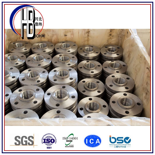 ASME B 16.47 Stainless Steel Forged Flange