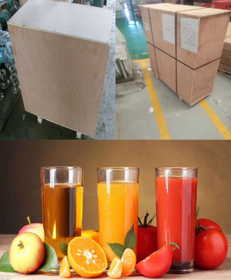 Pear Carrot Fruit Extractor Food Machinery Orange Juicer Juice Machine
