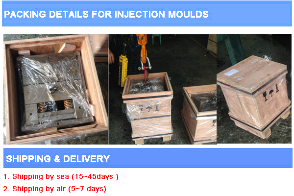 Custom Injection Mould for Plastic Products (YW2)