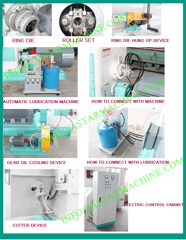Automatic Lubrication 6-12mm Size Wood Pellet Machine Supplier From China
