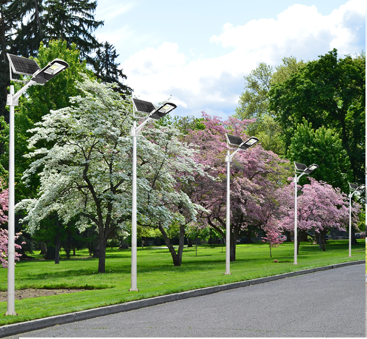 solar street light