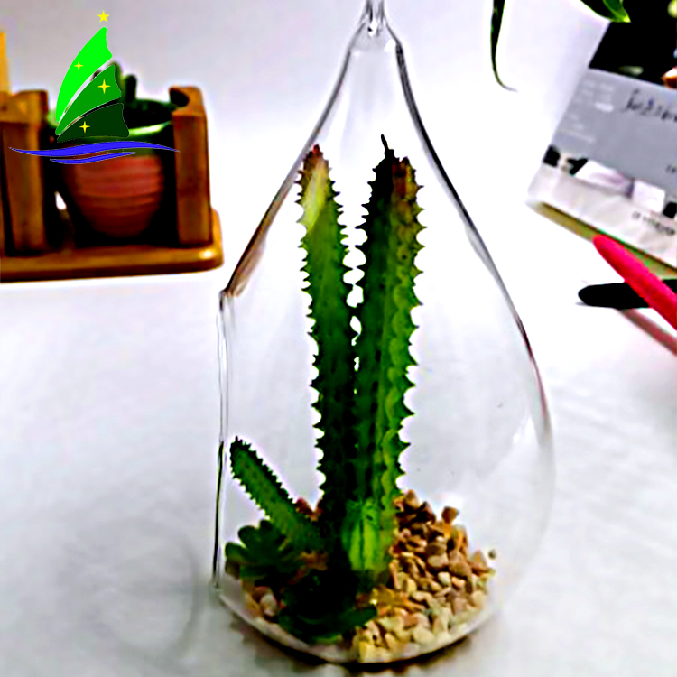 Terrario de plantas de vidrio Glass Plants Terrarium