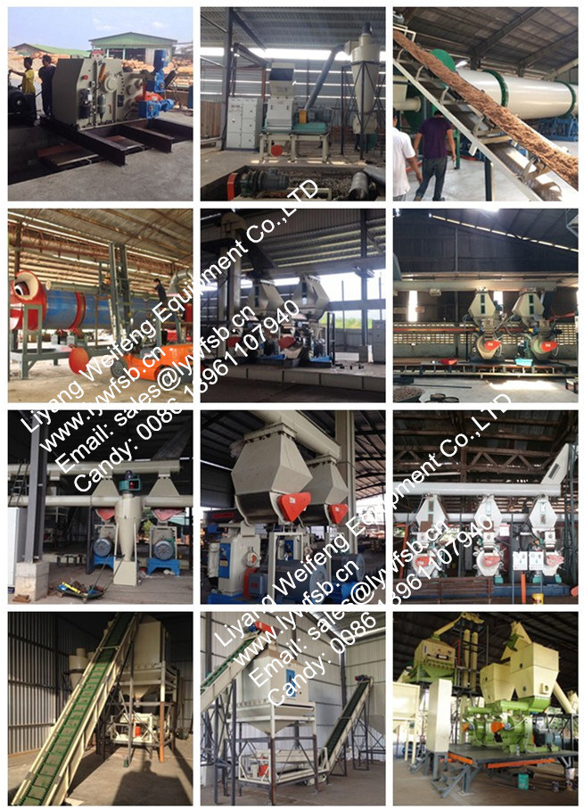 CE Hot Sale Wood Pellet Machine Factory Price