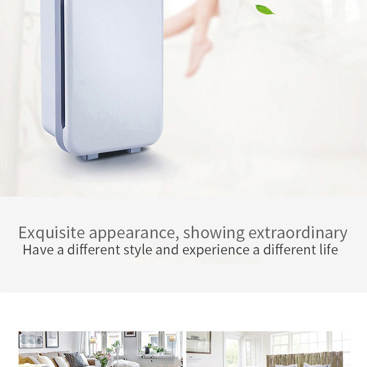 Olansi 空气 净化 器 HEPA Pm2.5 等 离子 家用 空气 净化 器 家用 空气 净化 器