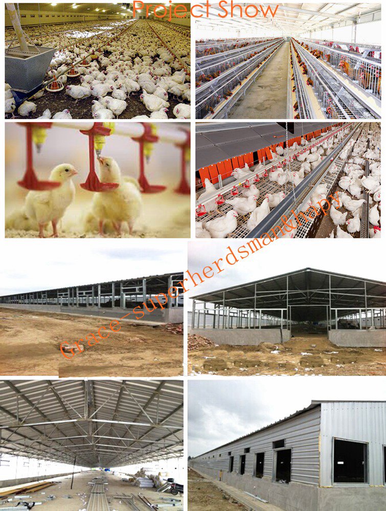 Automatic Broiler Farm Construction with Poduction Kits