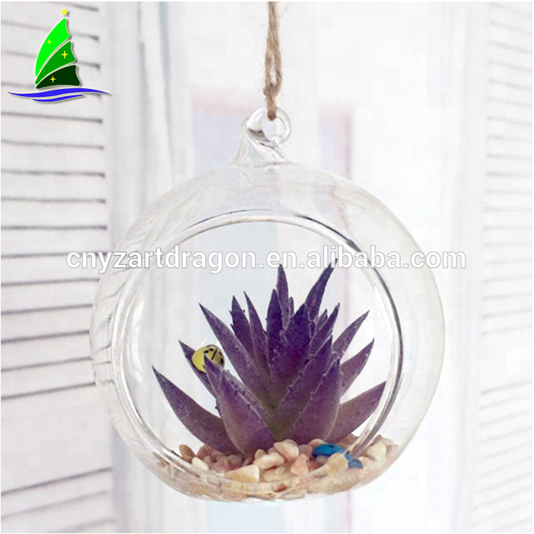 Excelente maceta y recipiente para suculentas. Excellent Flowerpot and Container for Succulents