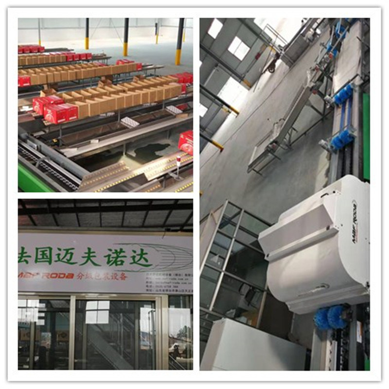 Línea de producción de lavado Washing production line