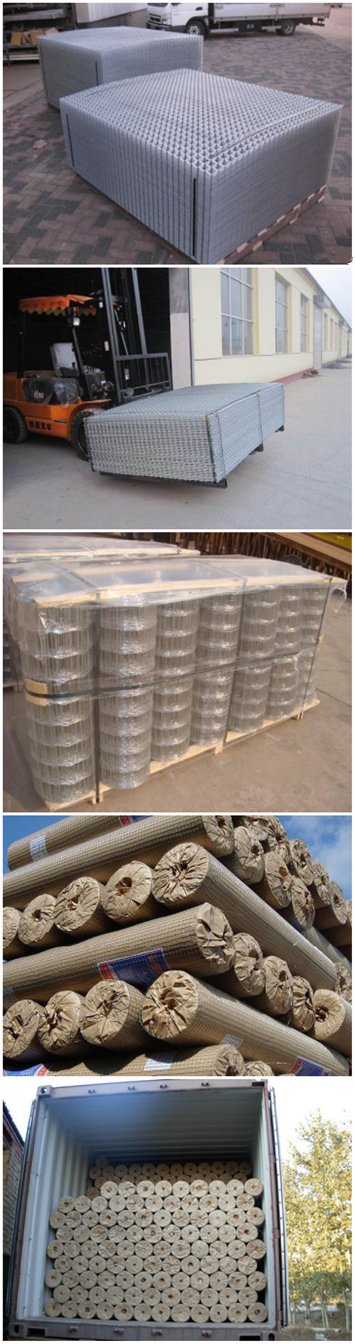 China Supply 1*2m Welded Wire Mesh Sizes
