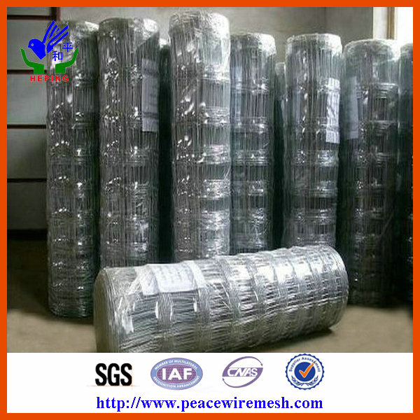 Hot-Dipped Galvanized Field Fence (EFF-05)