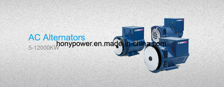 China Stamford Brushless AC Alternator with 100% Copper Wires (HY-SLG Series)