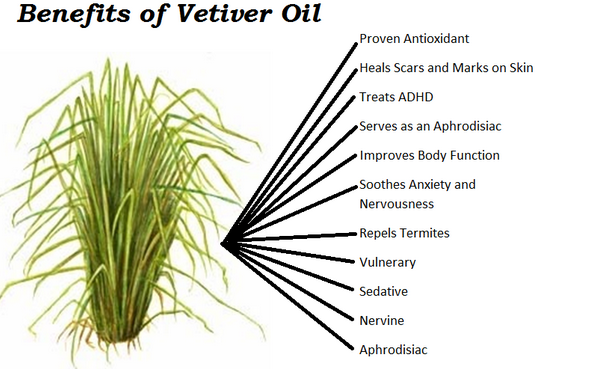 vetiver oil