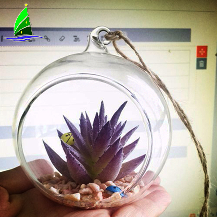 Macetero suculento contenedor de vidrio terrario Succulent Flowerpot Container Glass Terrarium