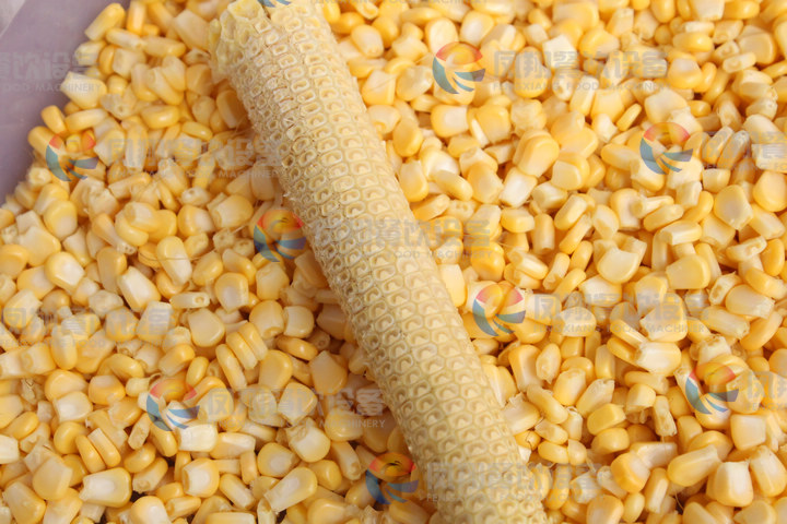 Sweet Corn Thresher, Corn Threshing Machine