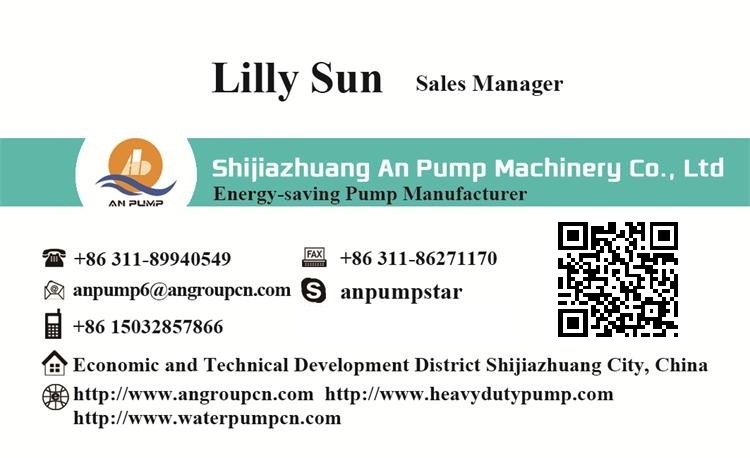 Heavy Duty Centrifugal Marine Submersible Sand Slurry Pump