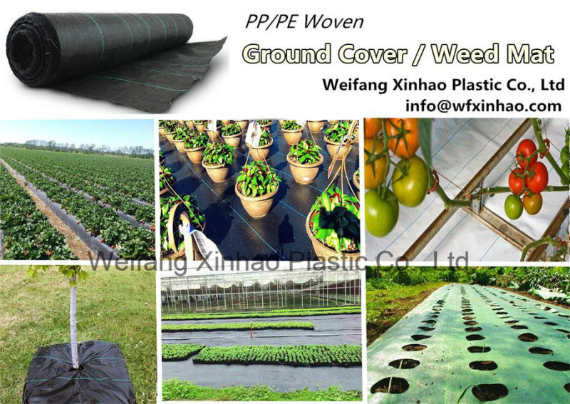 Weed Control Mat Fabric for Agricultural Plants
