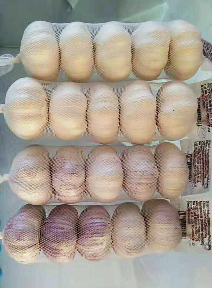 Garlic wholesale Hot sales