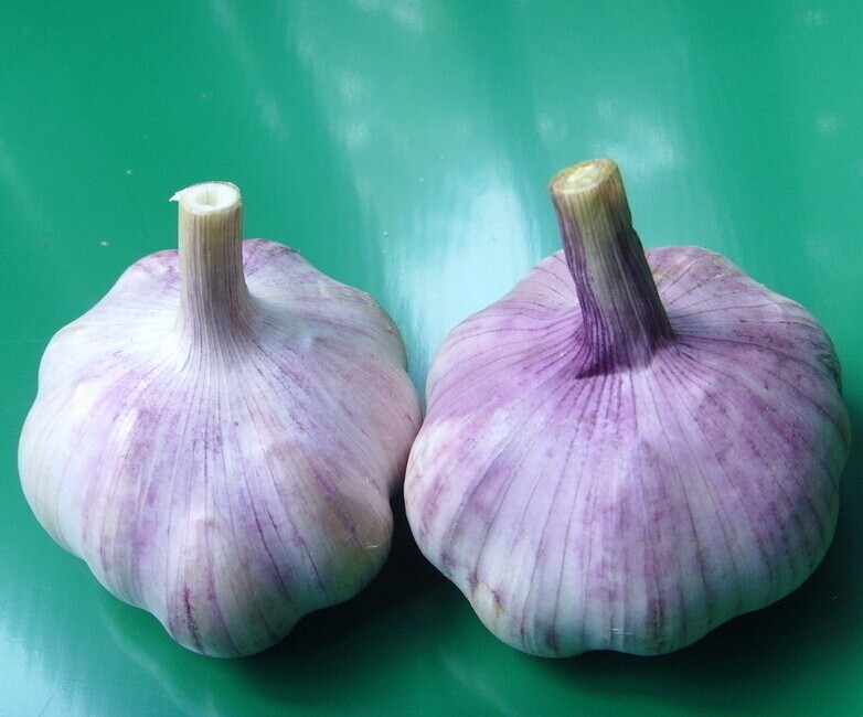 Vacuum packaging peeled garlic