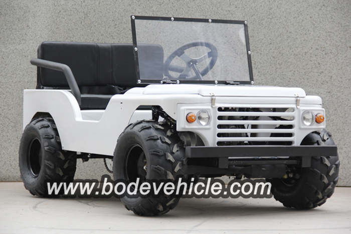 Bode New 500W Electric Dune Buggy