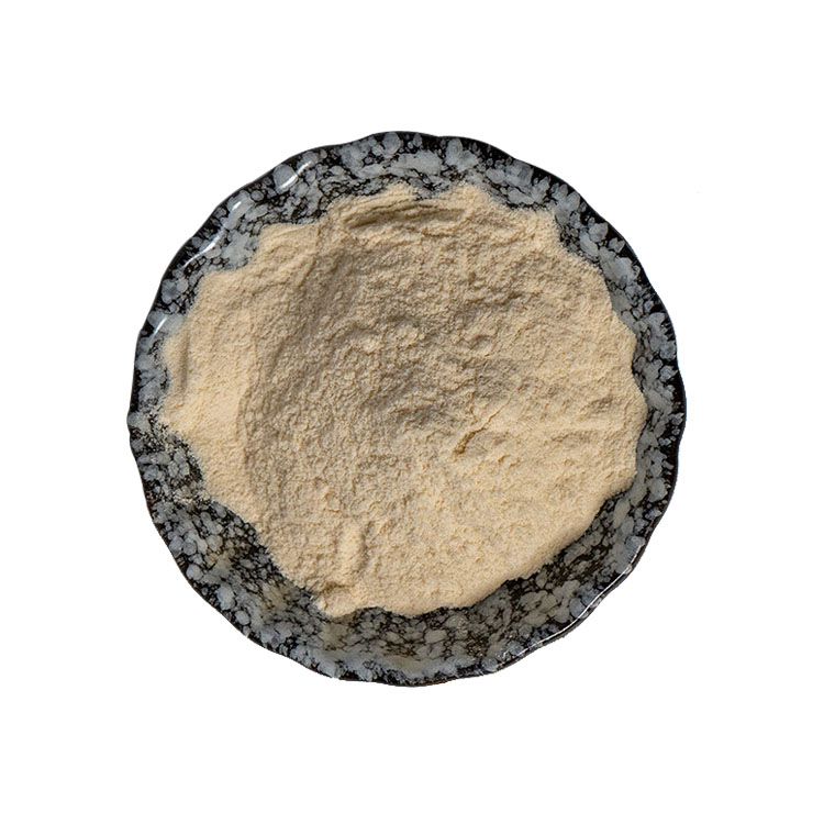 Ginsenoside Powder