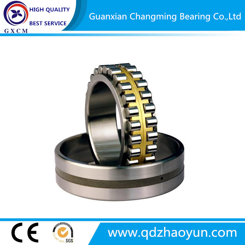 China Bearings Manufacturers Cylindrical Roller Bearing