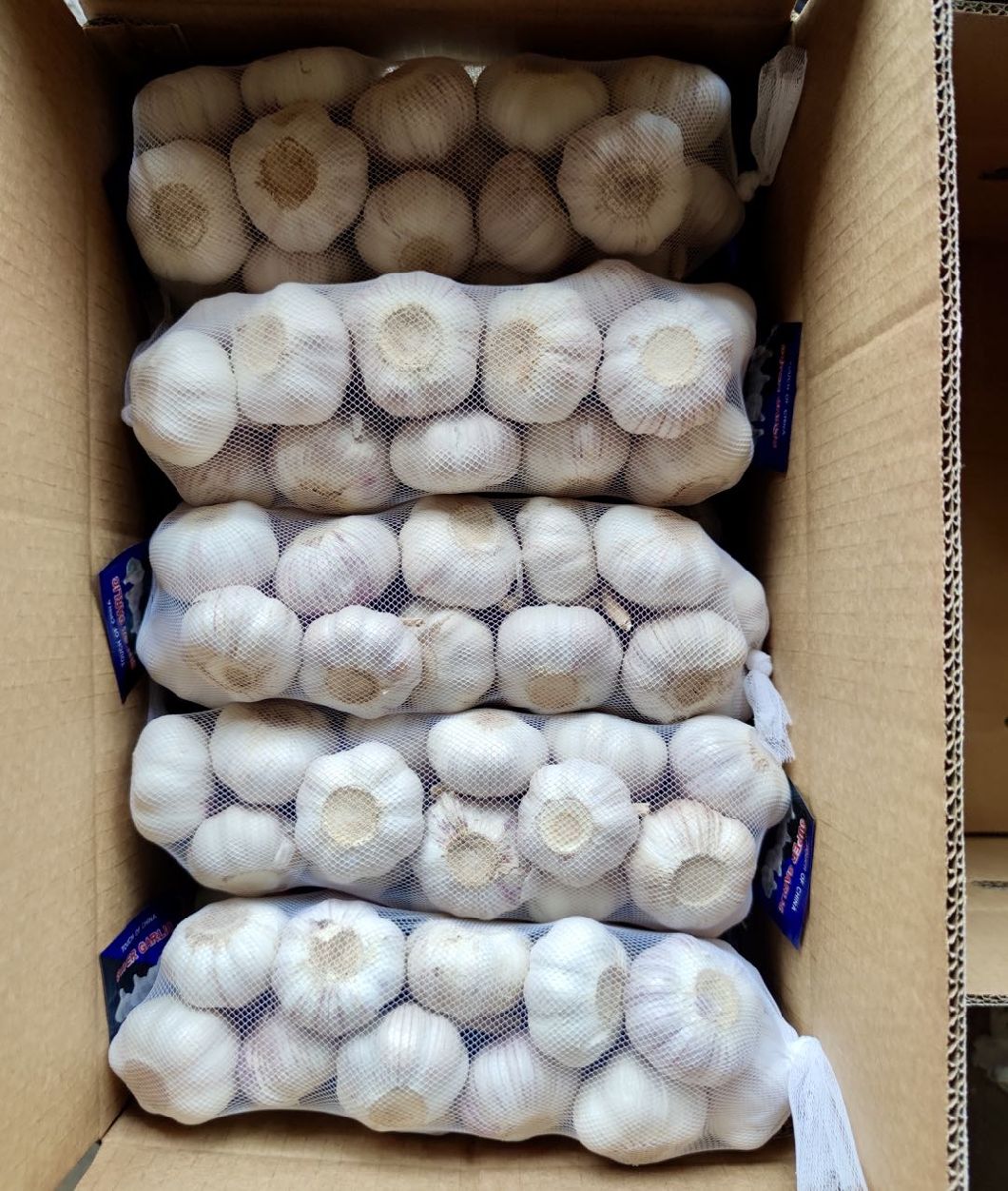 Kleine Netztasche, die neuen frischen Knoblauch der Ernte verpackt