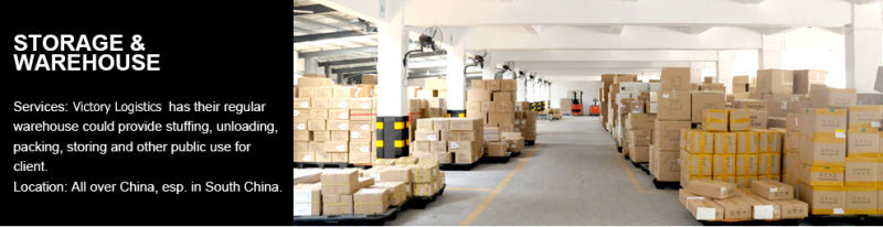 Professional Warehousing Service in Shenzhen, Guangzhou, Shanghai, China (warehousing)