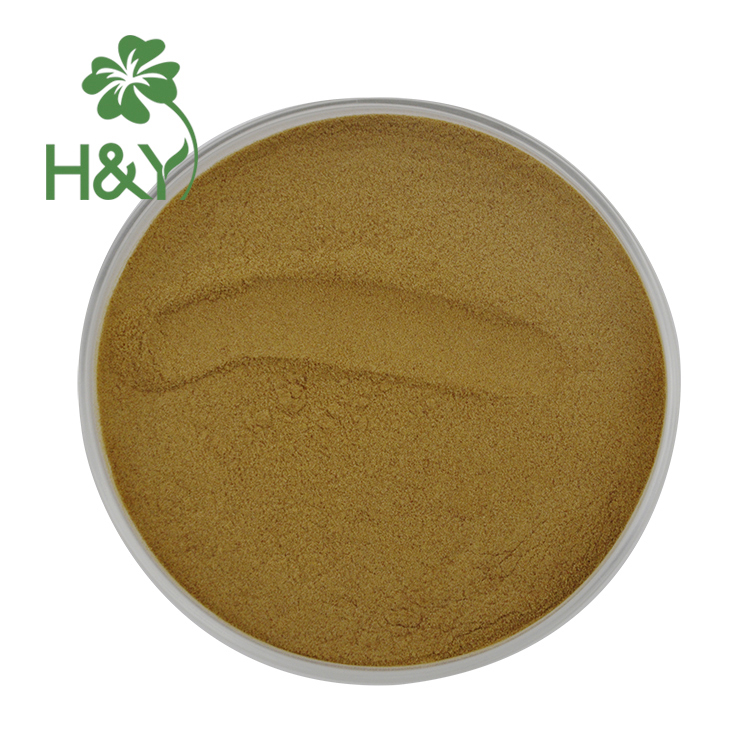 Zimtextraktpulver cinnamon extract powder