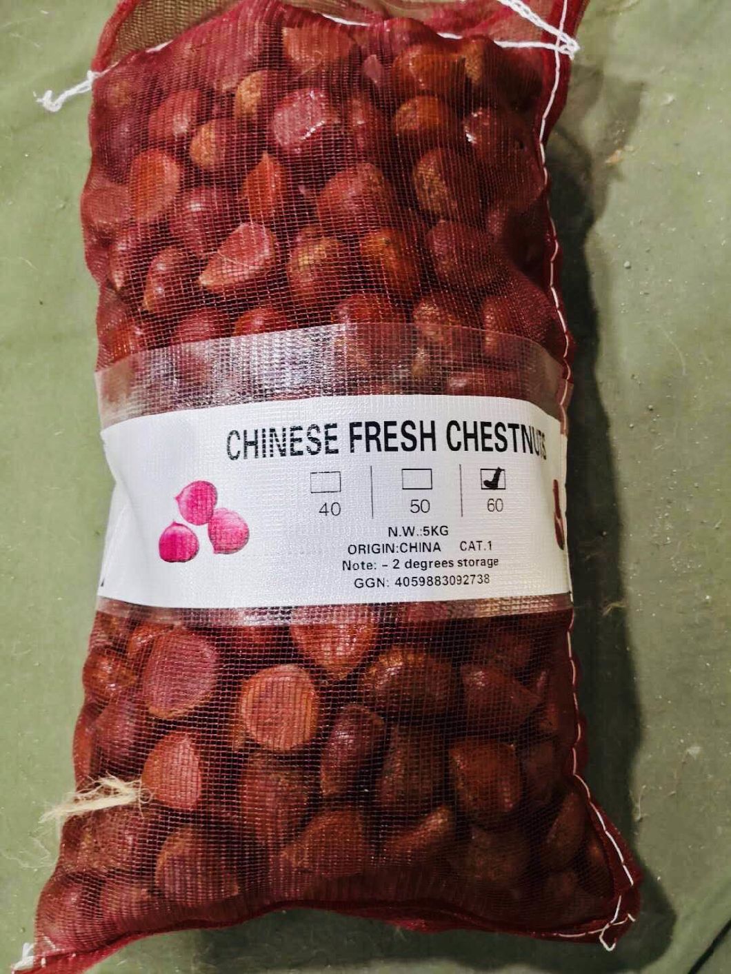 Fresh Chestnut