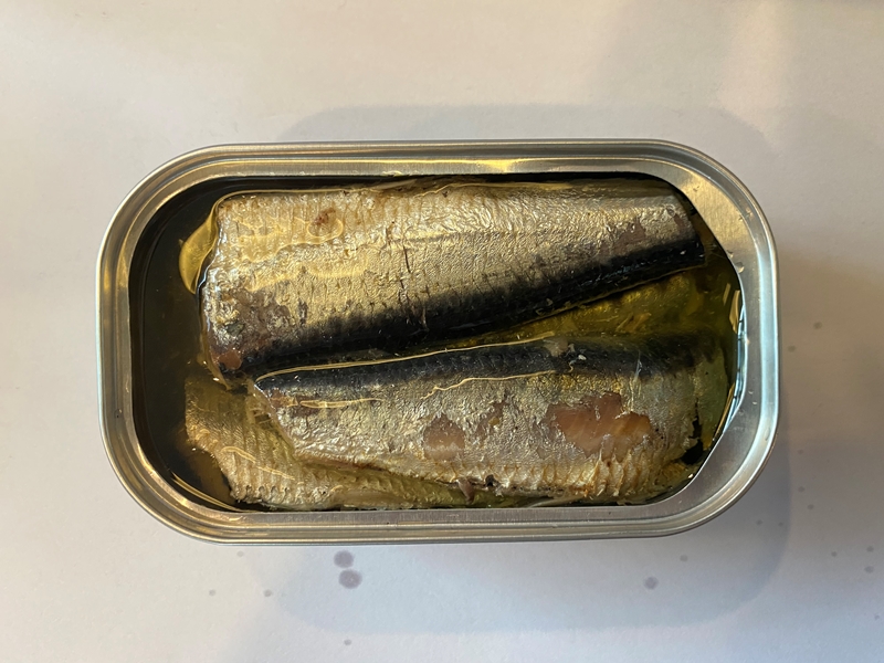 sardine canned