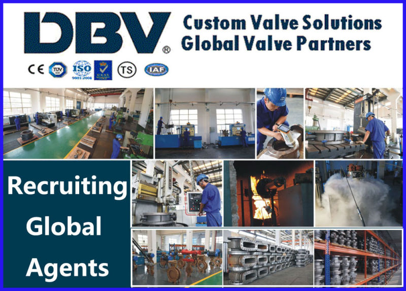 Casting Wcb PTFE Rubber Seated Globe Valve with Ce Approval