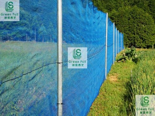 HDPE wind break wall/anti-wind net