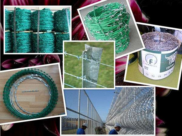 Big Factory Sales Barbed Wire Manufacturer