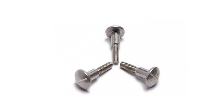 Stainless Steel Slotted Head Step Screw