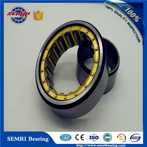 Tfn Four Rows Cylindrical Roller Bearing for Oil Refinery (508727/ 313824)