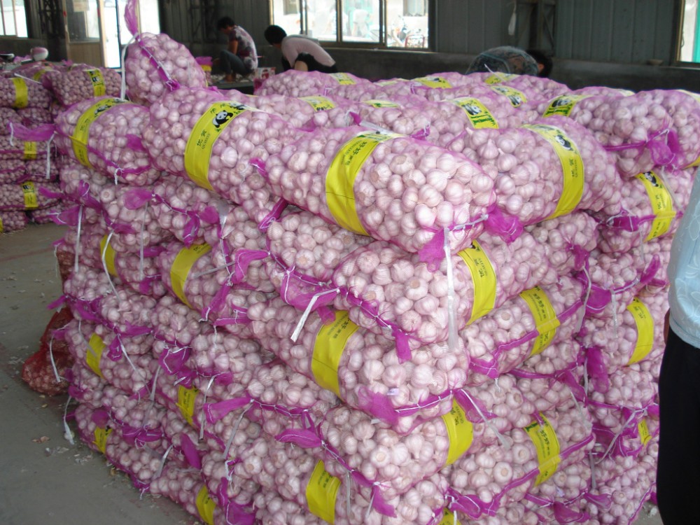 New crop fresh natural normal white garlic New crop fresh natural normal white garlic