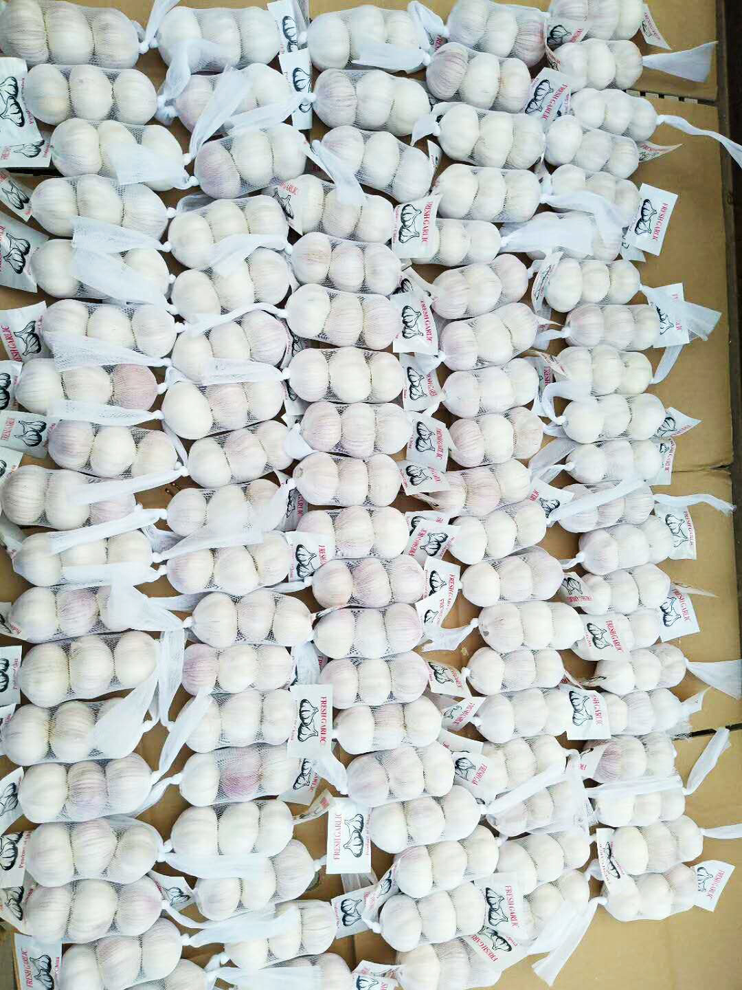 New crop fresh natural normal white garlic New crop fresh natural normal white garlic