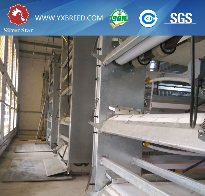 Steel Mesh Layer Cage