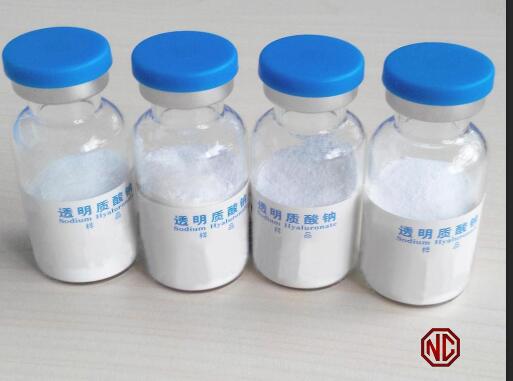 China Supplier High Quality Sodium Hyaluronate Powder for Cosmetics