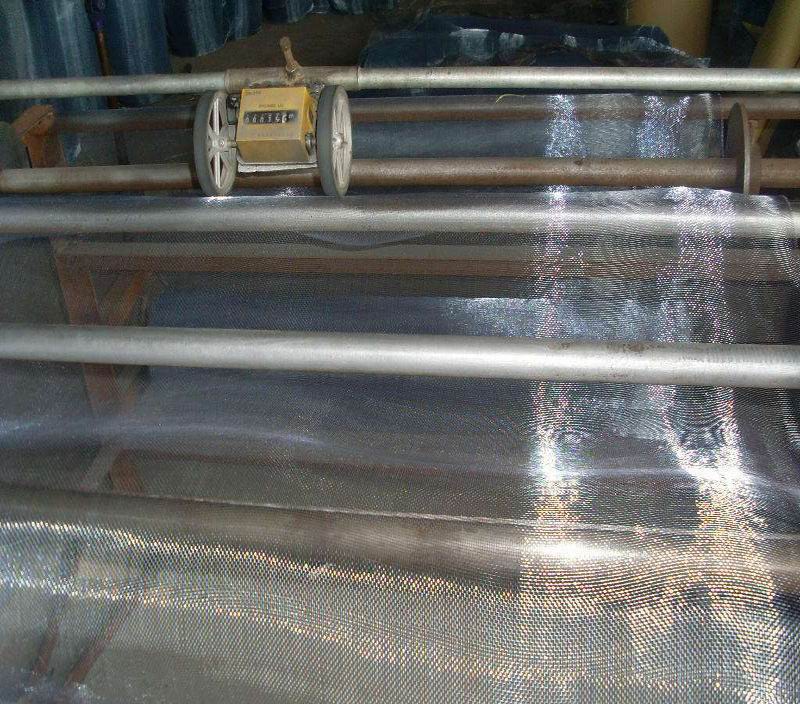 Galvanized Insect Protection Window Screen for Doors and Windows
