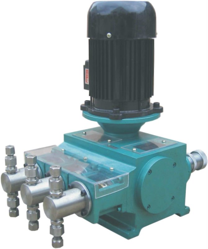 Multiple head metering pump