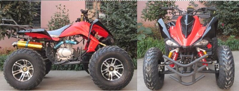 Ew 150cc ATV Quad, CE Approval, Chain, Utility ATV/Quad Wv-ATV018