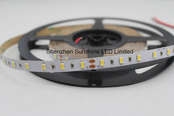 Super Brightness SMD5630 Dual Color CCT Changeable LED Strip